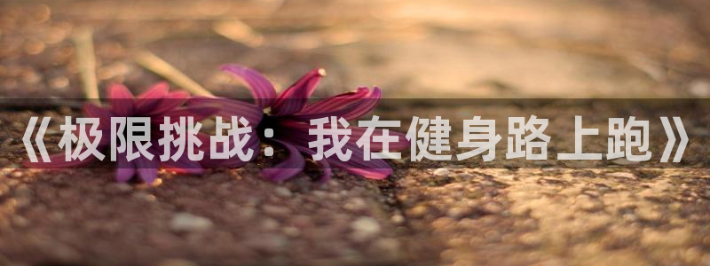 JJB竞技宝官方正版app开户:《极限挑战:我在健身路上跑》