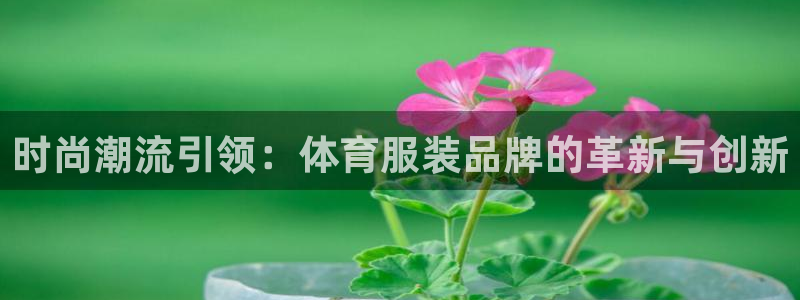 JJB竞技宝官方正版app娱乐40996:时尚潮流引领:体育