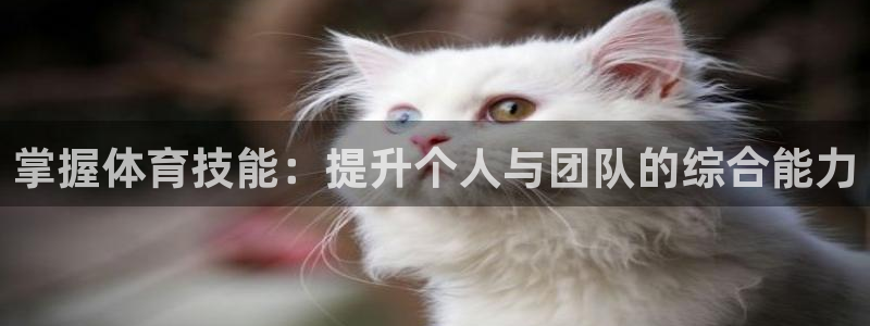 JJB竞技宝官方正版app五金厂:掌握体育技能:提升个人与团